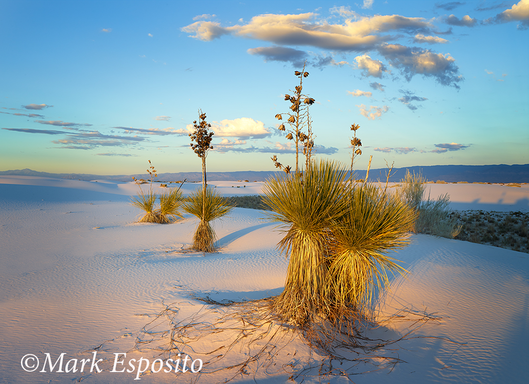 White Sands Sunset