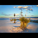 White Sands Sunset